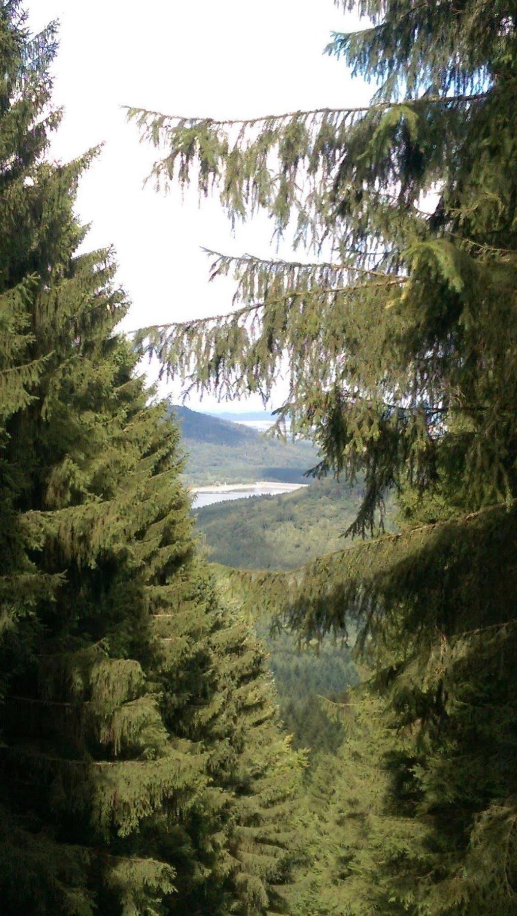 Hotel Berghof Am See Lautenthal Exterior photo